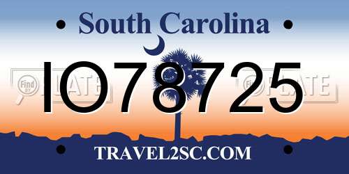 IO78725 South Carolina License Plate