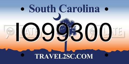 IO99300 South Carolina License Plate