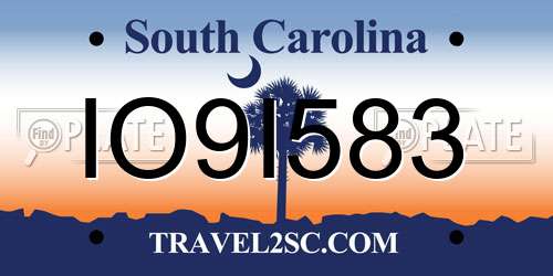 IO9I583 South Carolina License Plate
