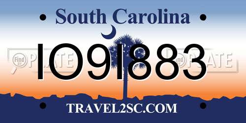 IO9I883 South Carolina License Plate