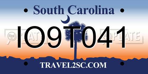 IO9T041 South Carolina License Plate