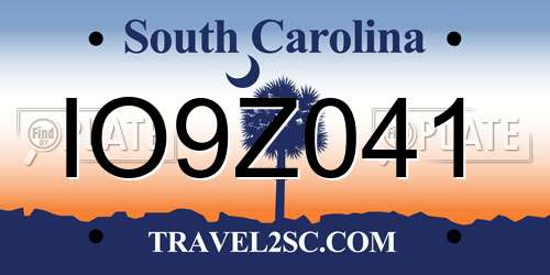 IO9Z041 South Carolina License Plate