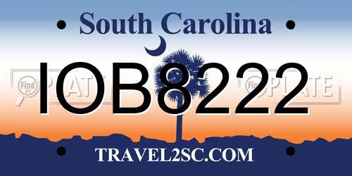 IOB8222 South Carolina License Plate