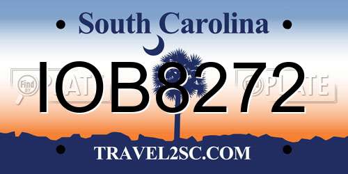 IOB8272 South Carolina License Plate