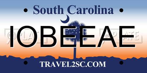 IOBEEAE South Carolina License Plate