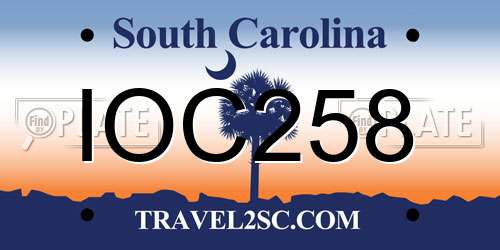 IOC258 South Carolina License Plate