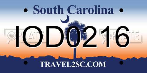 IOD0216 South Carolina License Plate