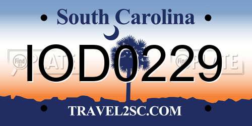 IOD0229 South Carolina License Plate