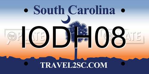 IODH08 South Carolina License Plate