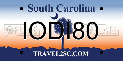IODI80 South Carolina License Plate