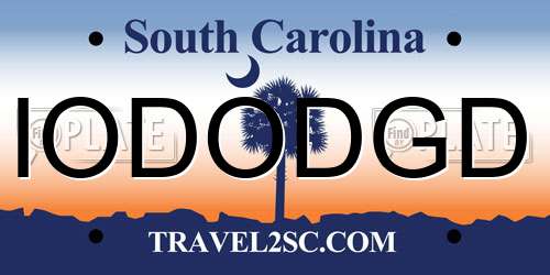 IODODGD South Carolina License Plate