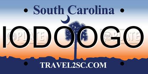 IODOOGO South Carolina License Plate