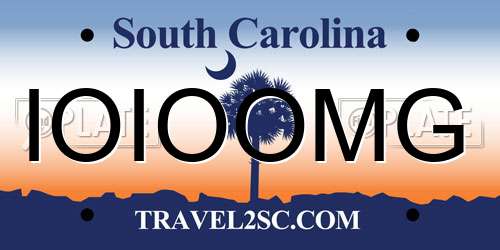 IOIOOMG South Carolina License Plate
