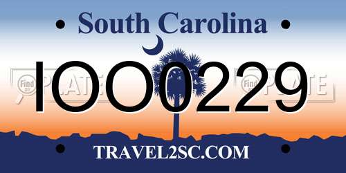 IOO0229 South Carolina License Plate
