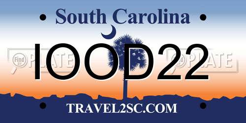 IOOD22 South Carolina License Plate