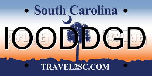 IOODDGD South Carolina License Plate