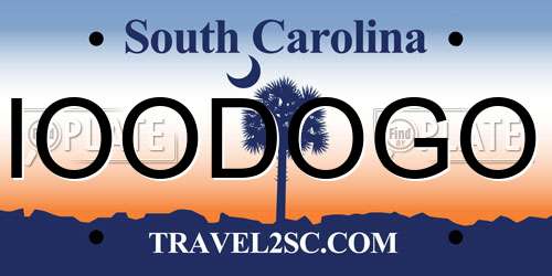 IOODOGO South Carolina License Plate