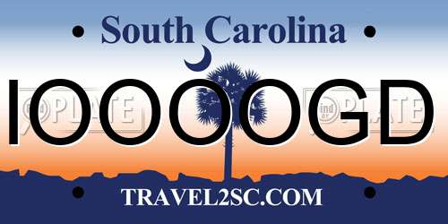 IOOOOGD South Carolina License Plate