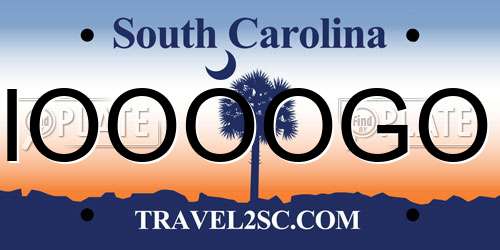 IOOOOGO South Carolina License Plate