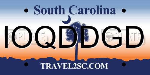 IOQDDGD South Carolina License Plate