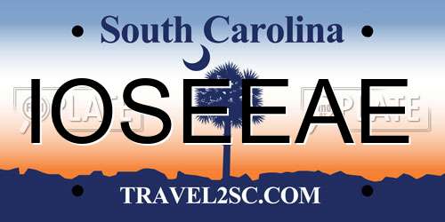 IOSEEAE South Carolina License Plate