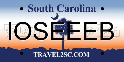 IOSEEEB South Carolina License Plate