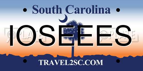 IOSEEES South Carolina License Plate