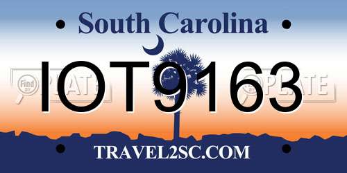IOT9163 South Carolina License Plate
