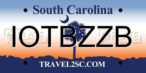 IOTBZZB South Carolina License Plate