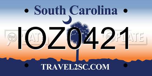 IOZ0421 South Carolina License Plate