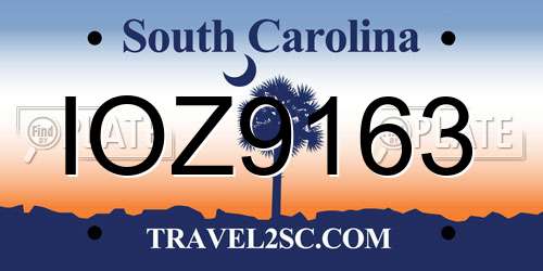 IOZ9163 South Carolina License Plate