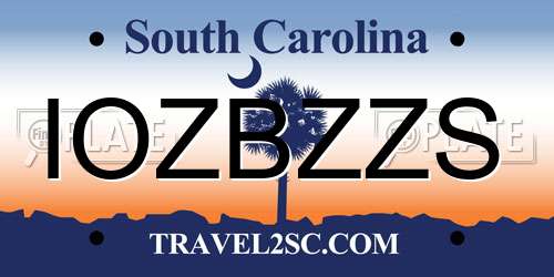 IOZBZZS South Carolina License Plate