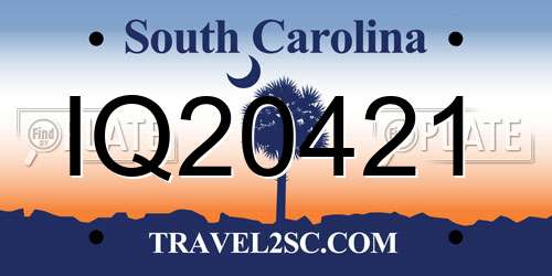 IQ20421 South Carolina License Plate