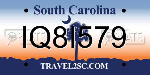 IQ8I579 South Carolina License Plate