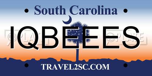 IQBEEES South Carolina License Plate