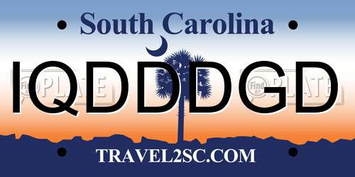 IQDDDGD South Carolina License Plate