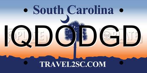 IQDODGD South Carolina License Plate