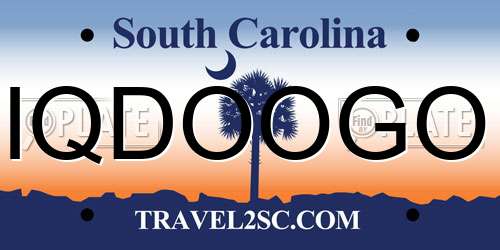 IQDOOGO South Carolina License Plate