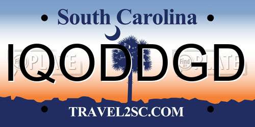 IQODDGD South Carolina License Plate
