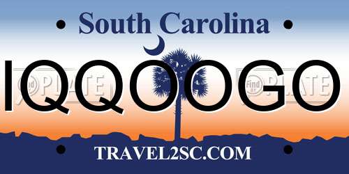 IQQOOGO South Carolina License Plate