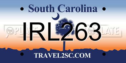 IRL263 South Carolina License Plate