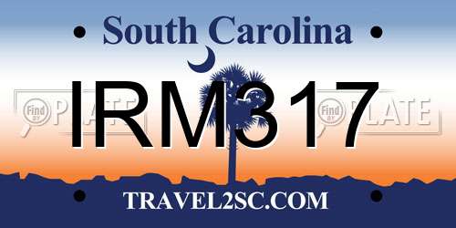 IRM317 South Carolina License Plate