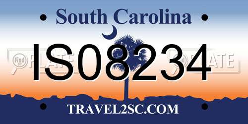 IS08234 South Carolina License Plate