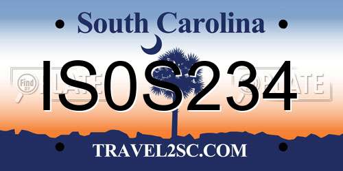 IS0S234 South Carolina License Plate