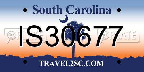 IS30677 South Carolina License Plate