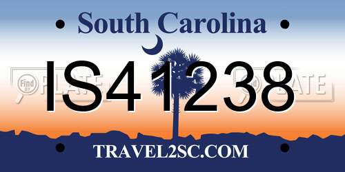 IS41238 South Carolina License Plate