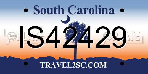 IS42429 South Carolina License Plate