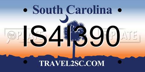 IS4I390 South Carolina License Plate