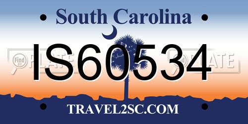 IS60534 South Carolina License Plate