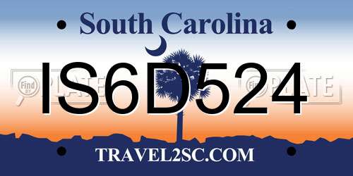 IS6D524 South Carolina License Plate